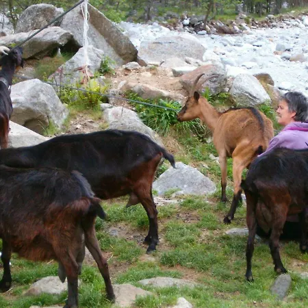 בית נופש Verzaschina גורדולה