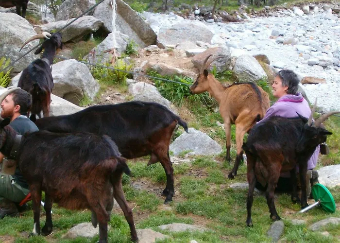 Σπίτι διακοπών Verzaschina Gordola